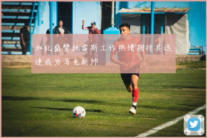 加比盛赞托雷斯工作热情期待其迅速成为马竞新帅