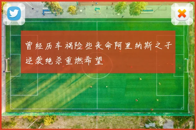 曾经历车祸险些丧命阿里纳斯之子逆袭绝杀重燃希望