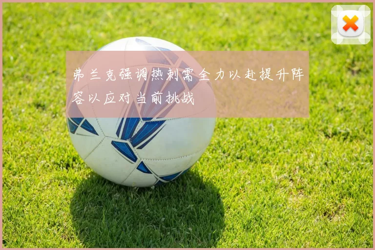 弗兰克强调热刺需全力以赴提升阵容以应对当前挑战
