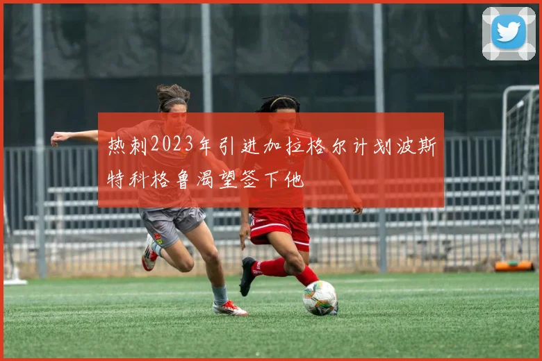 热刺2023年引进加拉格尔计划波斯特科格鲁渴望签下他